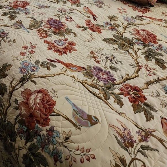 Waverly Charleston Chirp Reverses scalloped Birds Toile cottage farm Full Queen - Picture 2 of 16